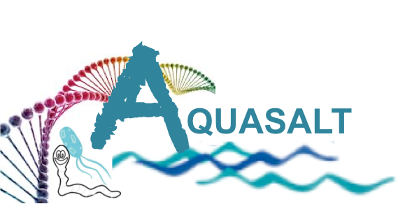 Logo Aquasalt